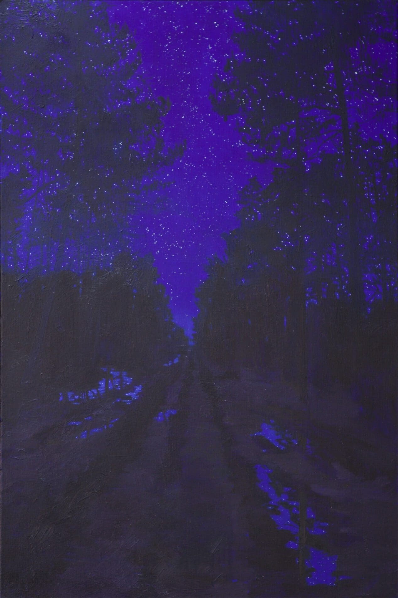 Forthcoming Solo Show