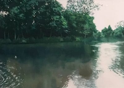 Caen Meadow Wroxham landscape painting by Claire Cansick