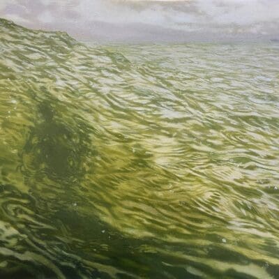 Bending Hectic painting by Claire Cansick
